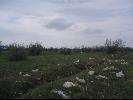 ���������� ������� �� ������ ����